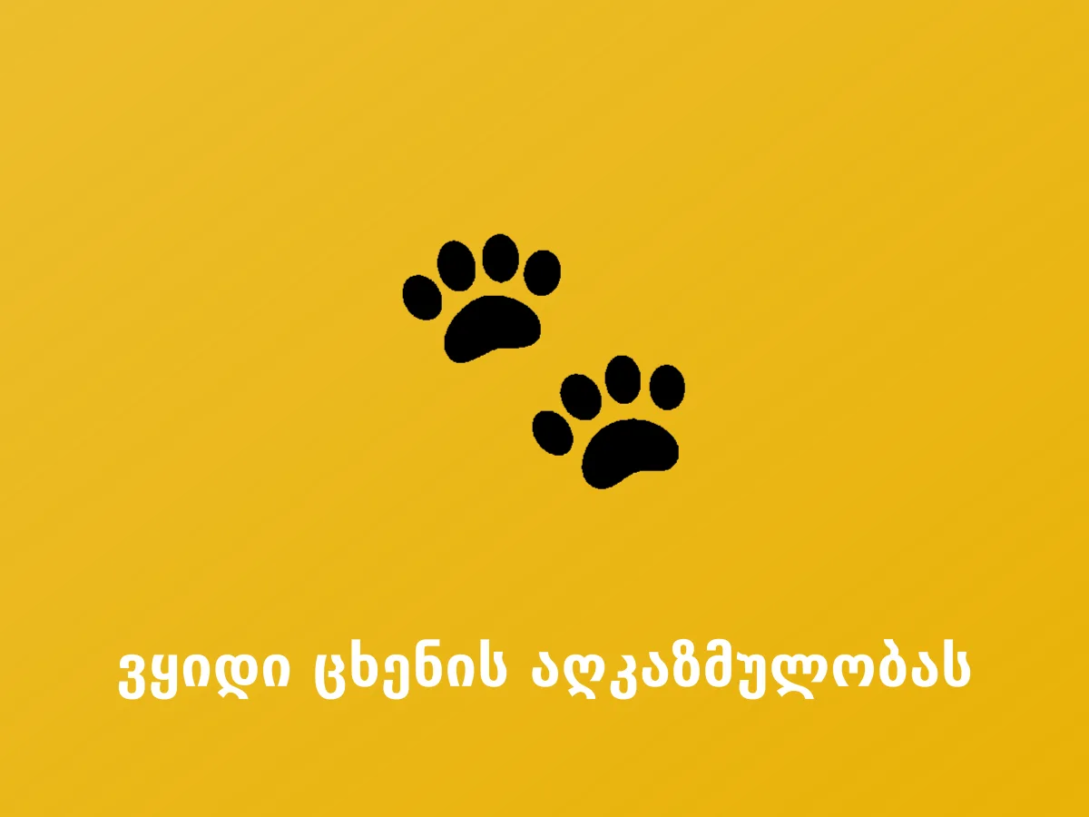 ვყიდი ცხენის აღკაზმულობას